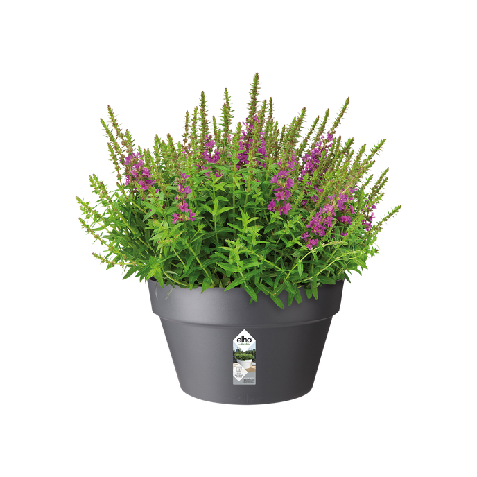 loft urban schaal 35cm antraciet